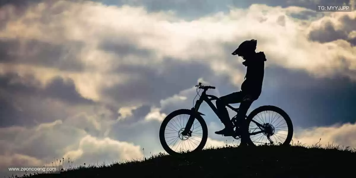 🏀 汗水与荣耀，直播间见！